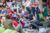 WeeFestival Family Day