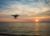 Introduction to Drone Cinematography